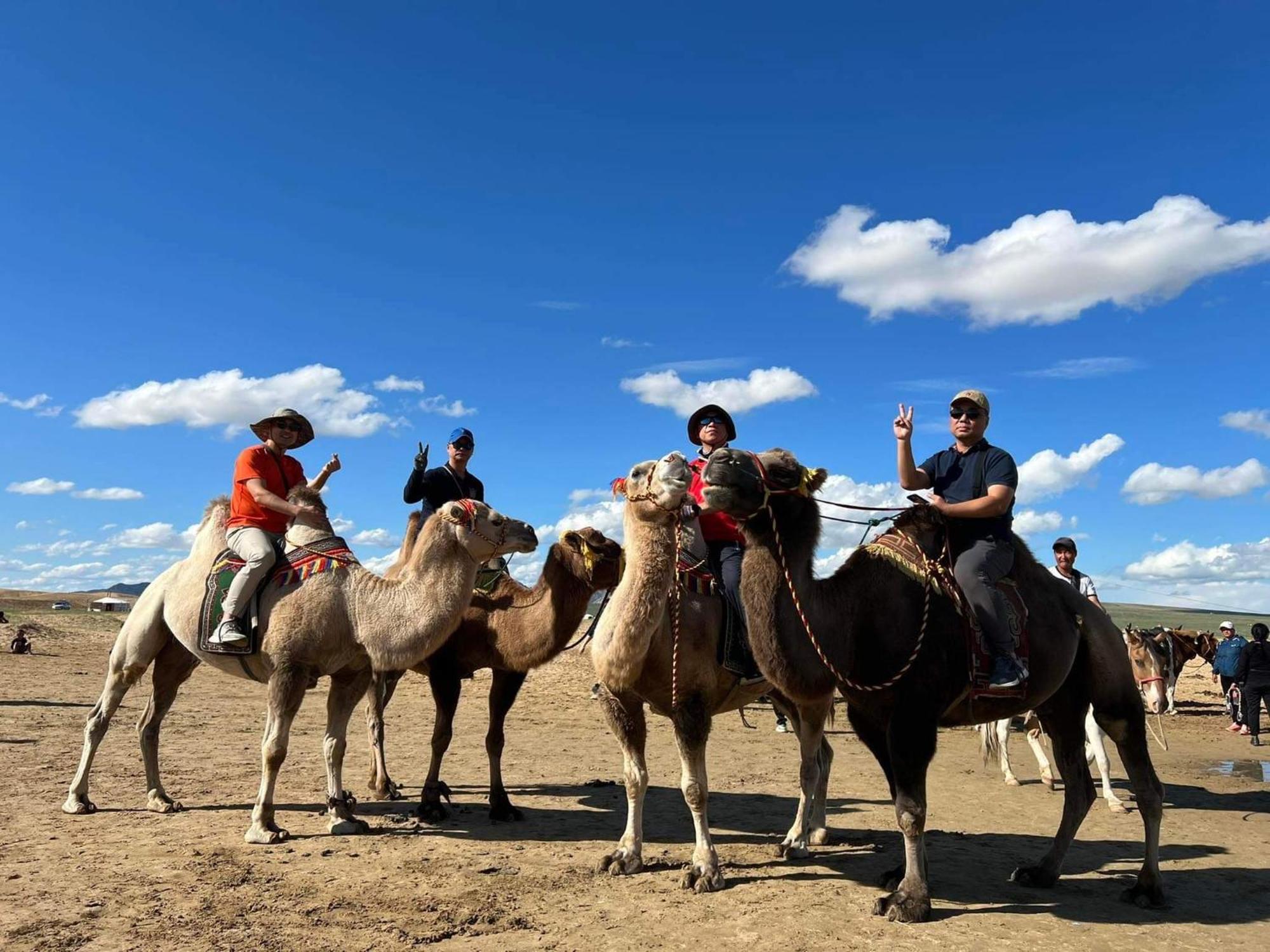 Camel Track Guesthouse And Tour Operator Llc Ulaanbaatar Exterior foto
